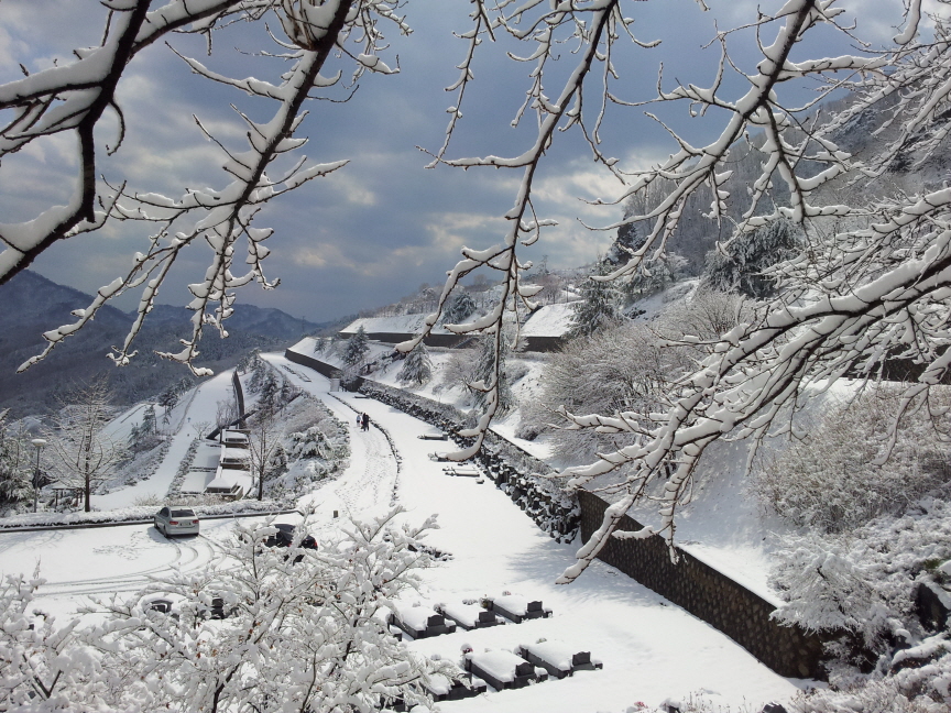 [4월에 핀 눈꽃]